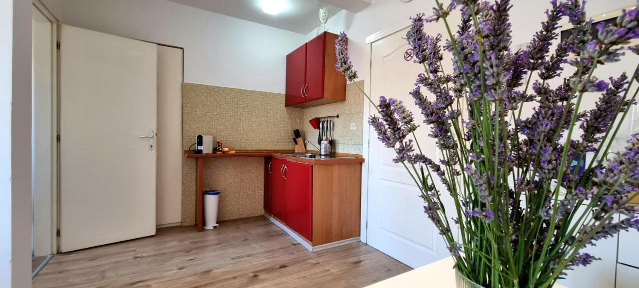 Tiny Studio Big Living Rovinj Exterior photo