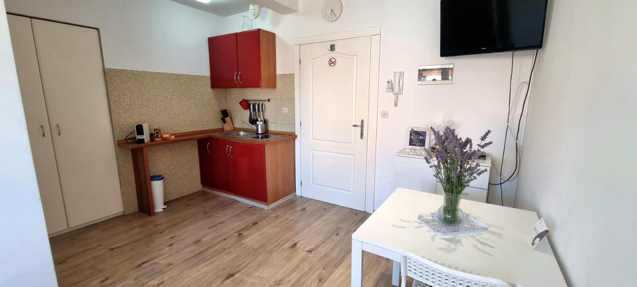 Tiny Studio Big Living Apartment Rovinj Exterior photo